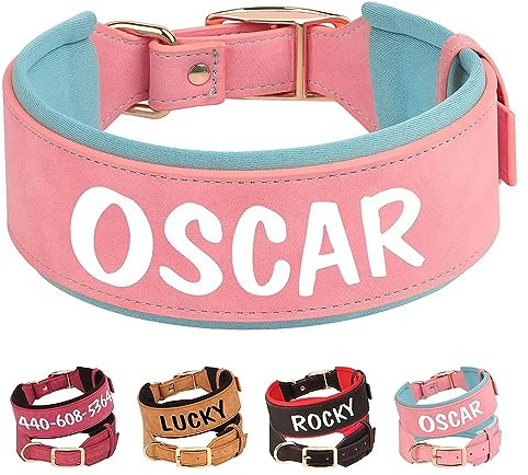 PET ARTIST Personalisiertes Lederhalsband für Mittlere Große Hunde mit Weich Gepolstert, Benutzerdefiniertes Hundehalsband mit Namen, Bequemes Rosa Hundehalsband für Mädchen