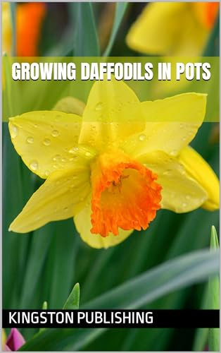 Growing Joyful Daffodils in Pots (Flowers)