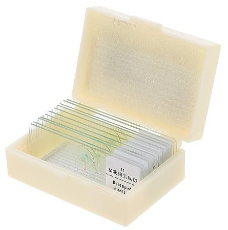 Lames de Microscope en Verre 1 Set pour Sciences Biologiques