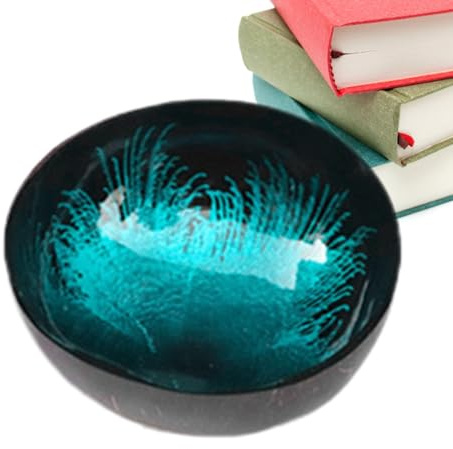 Tuxxjzm Bols en noix de coco Bol réutilisable à bonbons Bol à clés Bol à bijoux en noix de coco Décoration de la maison pour table de bureau Saladiers pour noix fruits