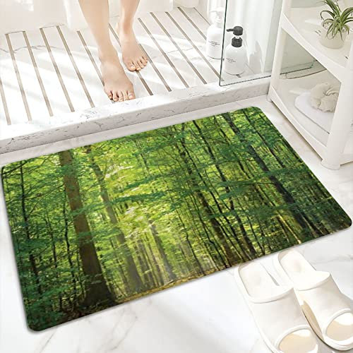 Tapis de Bain Antidérapant 60x100cm,Arbres forestiers à feuilles caduques des bo,Tapis de Sol Lavable en Machine avec Microfibre Douces Absorbant l'eau pour la Baignoire, la Douche et la Salle de Bain