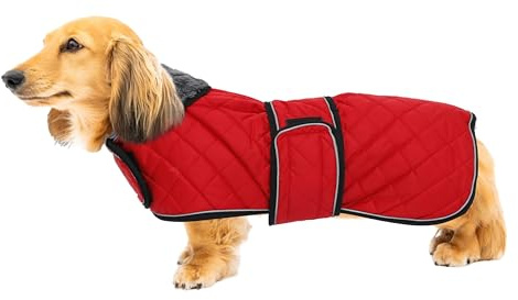 Geyecete Warm Thermal Quilted Dachshund Coat, Dog Winter Coat with Warm Fleece Lining, Outdoor Dog Apparel with Adjustable Bands for Medium, Large Dog-Red-M