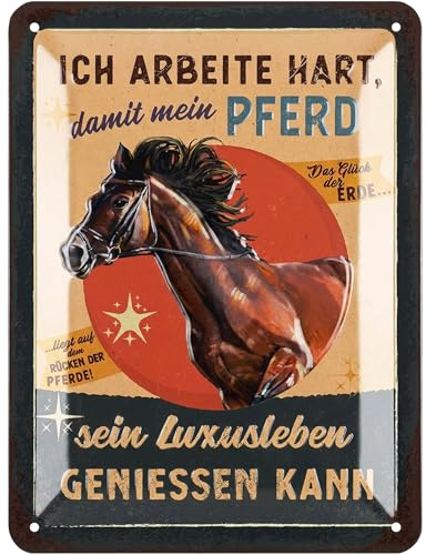 LANOLU Retro Blechschild Pferde Schild - Geschenke für Pferdeliebhaber und Reiter - Boxenschilder mit Spruch, Bauernhof Dekoration und Farm Dekor - vintage Metallschild 15x20cm