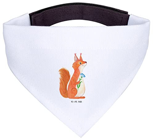 Mr. & Mrs. Panda Hundehalstuch S Eichhörnchen Blume - Geschenk, Halstuch, Kleine Hunde, Lustige Sprüche, Spruch Positiv, Spaß, Eichhorn, Lachen, Motivation, Tuch