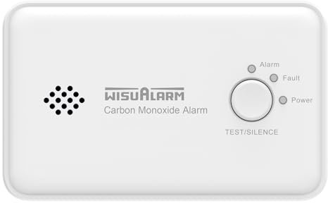 Carbon Monoxide Detector, 10 Years Battery Carbon Monoxide Alarm, CO Alarm with Test/Silence Button,Carbon-Monoxide-Detector Comforms to EN 50291 Standard