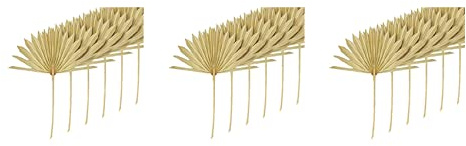 Janasiba 18 Piezas Grandes Hojas de Palma Secas Naturales Abanicos de Palma Secas Ramo de Flores Secas Decoraciones de Boda Hojas de Palma Secas