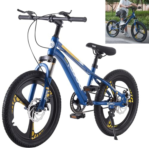 LSLIFE Kids Mountain Bike for Boys Girls 24 Inch Kids Bicycle for 13-16 Years Old Boy with Shock Absorber Boys Mountain Bicycle with Dual Disc Brake (Blue, 20 Inch)