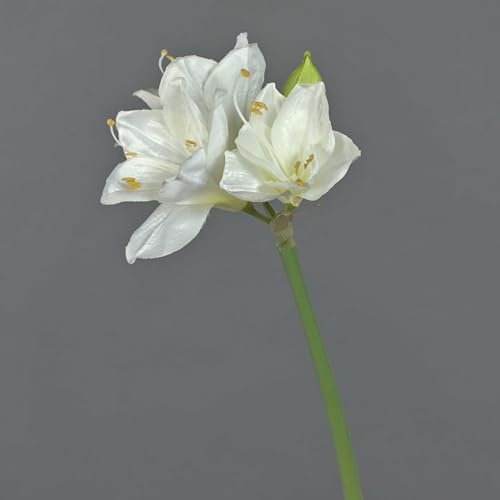 artplants.de Künstliche Amaryllis, weiß, 55cm - Seidenblume - Textilblume