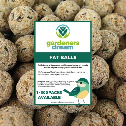 Boules de Graisse GardenersDream - Friandises énergétiques pour Oiseaux Sauvages (Paquet de 10)