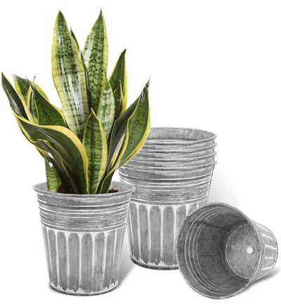 vensovo Galvanised Metal Plant Pots for Indoor Outdoor Use – 6Pcs Rustic Flower Planters with Drainage Hole & Plug, Silver Herb Pots, Small Garden Buckets for Succulents & Flowers, 17.8 CM
