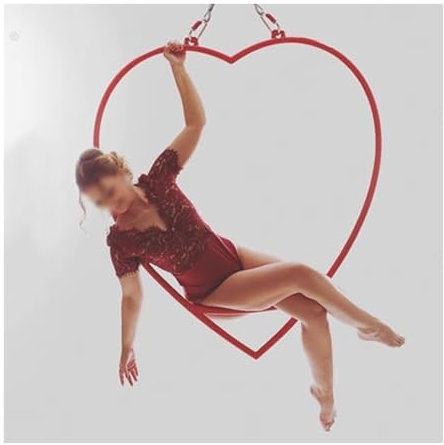 Aerial Hoop Herzform Aerial Hoop Set, Professionell Einzelner Punkt Aerial Strop Ring Kit, Kreativ Spinnen Rund Baumschwinge/Aerial Yoga Ausrüstung, Für Zirkusmanege Aerial Fitness
