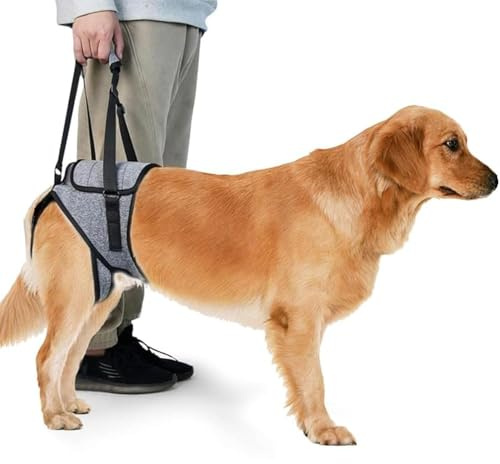 KOMUNJ Imbracatura di sollevamento taglia, Imbracatura per Cani per Zampe Posteriori, Cintura Ausiliaria Imbracatura Cane Zampe Posteriori per Cani Anziani Disabili E Feriti (XL)