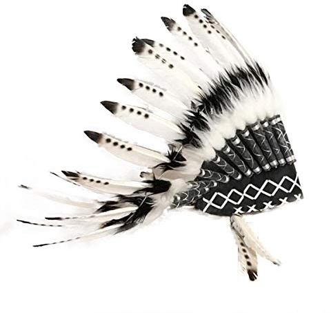 Buithafu Indianer Federschmuck Kopfschmuck – Indianischer Kopfschmuck mit 24 Federn, Elastisch für Erwachsene, Karneval Kostüm, Party, Fotoshooting & Deko (One Size)