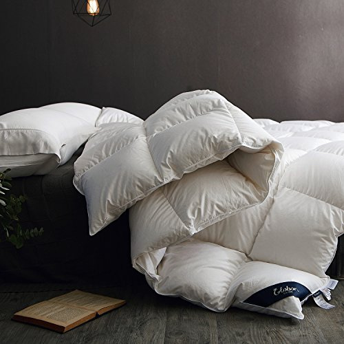 Globon Winter Down Comforter King Size,Heavyweight Duvet Insert for Clod Sleepers,Noiseless Soft Shell,with 8 Corner Tabs, White