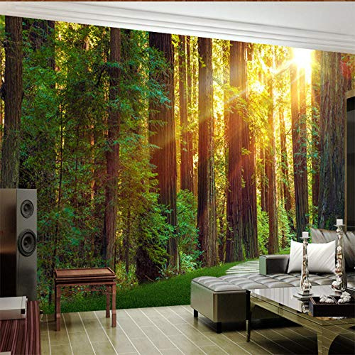Xcstdjx 3D Custom Mural Wallpaper Wall Painting Sunny Forest Photography Background Photo Wallpaper for Living Room Bedroom Wall Murals,350(W)*256(H) Cm
