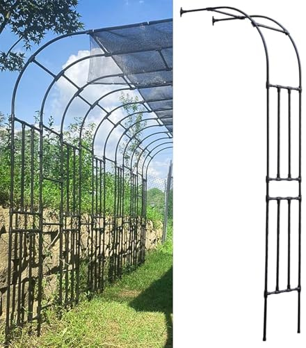 Arche de jardin en métal robuste - Treillage mural pour plantes grimpantes et vignes - Disponible en tailles 60-300 cm (300 x 240 x 40 cm)