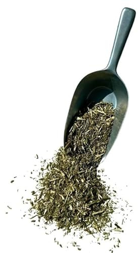 Kräutertee Katzenminze Pflanze 250 GRS Nepeta cataria.