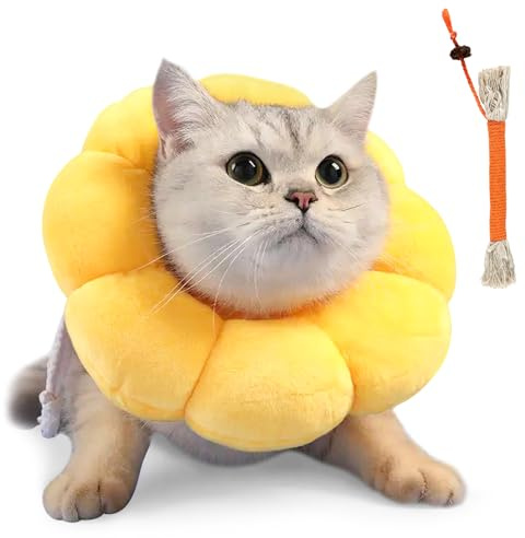 Halskrause Katze Set Mit Beißseil Weich Trichter Katzenkragen Sonnenblume | Verstellbares elisabethanisches Halsband & Kauseil aus Baumwolle, Leckschutz für Kopfumfang 12-20cm, OP Genesung