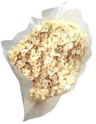 Generico Ortensia STABILIZZATA | Vari Colori | 20x60 cm Bomboniera Allestimento Feste Cerimonie Fiori Fiore Vero (Beige)