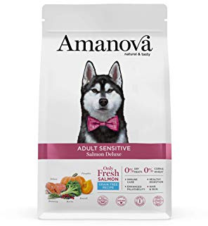 Amanova Super Premium 100% natürliches trockenes Hundefutter für Erwachsene - 2 kg - Frischer Lachs - Getreidefrei - Hypoallergen - Grausamkeitsfrei