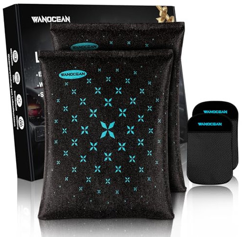 Deumidificatore Auto, 2 * 380g Riutilizzabile Assorbi Umidità, Assorbi Umidità Armadio, Silica Gel Deumidificatore Armadio, Tappetino Antiscivolo, con Anti Appannamento e Condensa sui Ripostiglio