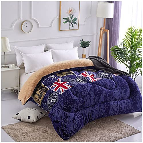 ZTGL Edredón Invierno Borreguillo Nórdico de Microfibra, Manta Cama 150/180/200/220 Invierno, Franela de Terciopelo Grande Manta, Edredón Extra Suave, Cálido, Gruesa,E,150X200cm/1.5kg
