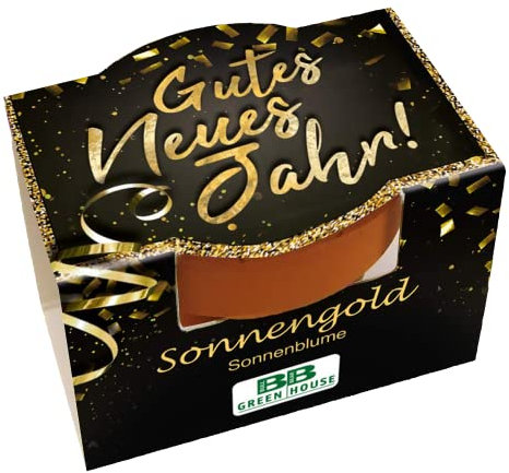 Bull & Bear Mini Pflanzset 'Gutes Neues Jahr' mit Sonnengold Samen im Topf 4,5cm, Sonnenblumen Anzuchtset mit Pflegeanleitung