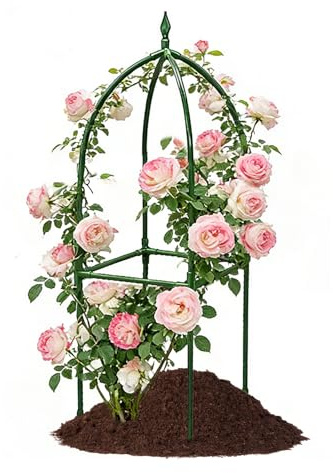 Enrejado para Plantas trepadoras de Exterior Pie de obelisco Vertical de | Enrejado para Trepadoras para Balcón, Jardín, Eventos, Privacidad, Flores y