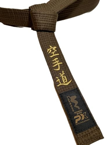TEKKA BUDO Karategürtel braun - Bestickt - Karate Do - 330 cm - Schriftzeichen Bestickung Gold - Braungurt Kanji japanisch - Brauner Gürtel