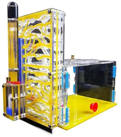 CBFGGOEUDFBS Transparentes Ameisenfarm-Set zur DIY-Beobachtung Einer Ameisenkolonie, Ameisenhaus for Wissenschaftsbegeisterte(Yellow)