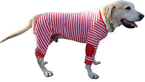 BT Bear Hundebekleidung für große Hunde, schützt Gelenke vor Haaren, vierbeinig, elastisch, klassisch, gestreift, mit Reißverschluss, für mittelgroße Hunde, große Hunde, Labrador