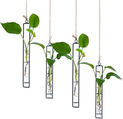 Vaso in Vetro in Ferro Battuto,Tianher 4 Pezzi Nero Vaso in Vetro per Piante da Parete Provetta di Ferro Adatto per Vasi Decorativi da Parete per Piccoli Fiori Secchi e Piante Verdi Idroponiche