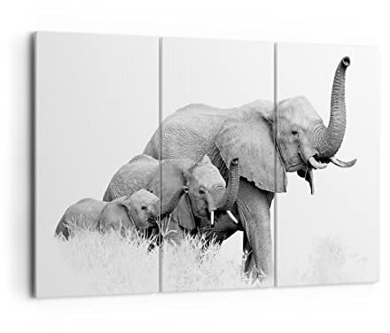 Bilder auf Leinwand 165x110cm Leinwandbild Elefanten Familie Schwarz und Weiß Groß XXL Wanddeko Bild Schlafzimmer Set 3 teilige Wandbilder Dekoration Wohnzimmer Canvas Kunstdruck Art CE165x110-4374