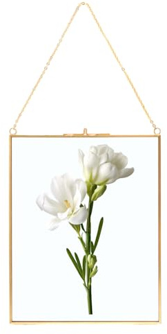 ZOFUN 25x20cm Bilderrahmen aus Kupfer, Glasrahmen für Wand, Glas-Bilderrahmen Glasrahmen Messing Hängende schwimmende Glas Fotorahmen, Gold Geometrische Ornament Pflanze Probe Clip