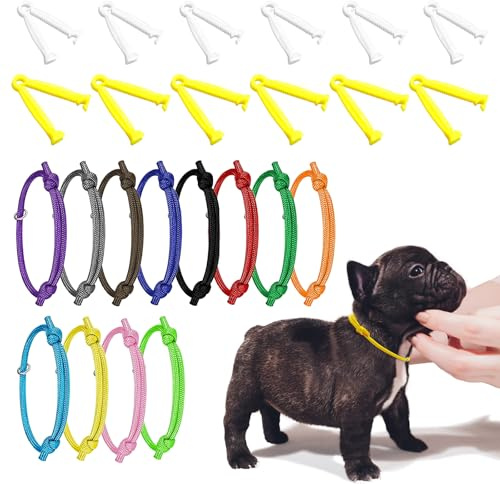 JJWNMLL Lot de 12 colliers d'identification pour chiot + clip de cordon ombilical pour nouveau-né, colliers d'identification réglables, 12 pièces de serrage jetables en plastique