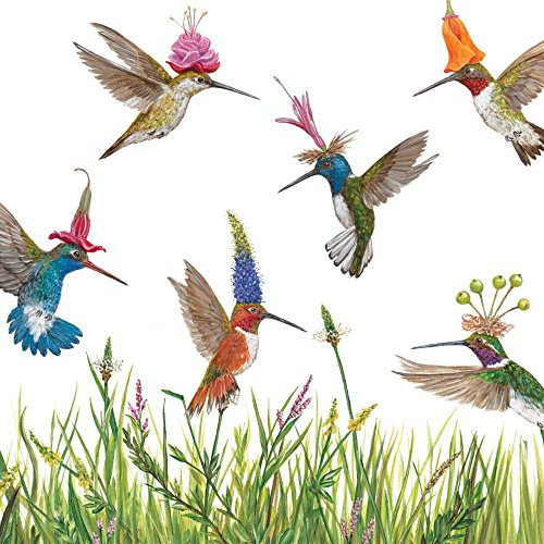 Paperproducts Design Vicki Sawyer Cocktail Napkins - Decorative Paper Beverage Napkins, Gifts, Celebrations - 5 x 5 Pack of 20 - Meadow Buzz Design