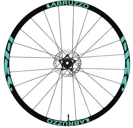 DualColorStampe® Aufkleber für Mountainbike, 66 cm (27,5 Zoll), 28-29 Zoll (66 cm) | Aufkleber für Mountainbike-Rad, bunt, selbstklebend, wasserdicht | Code B0207 (Mint 55, 27,5 Zoll)