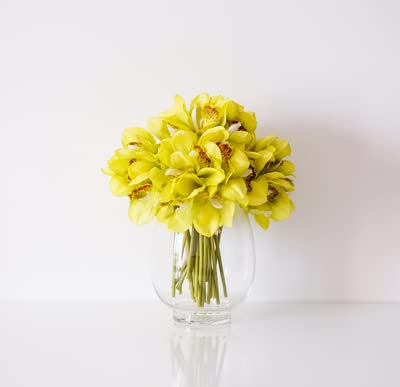 QTYQWC Artificial Flower with Pot Orchid Artificial Hydrangea Flowers with Vase Fake Silk Flowers Arrangements Bouquet with Glass Vase