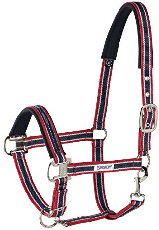 Eskadron Standard Halfter PIN Buckle
