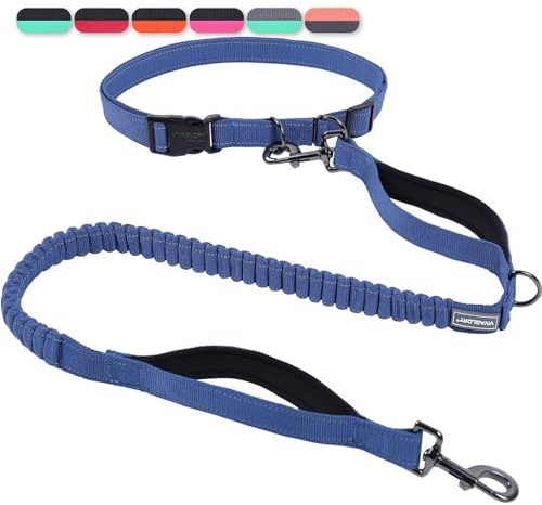 VIVAGLORY Laisse mains libres pour chien Ceinture pour course, marche et jogging, élastique taille animal de compagnie, S, bleu marine/noir