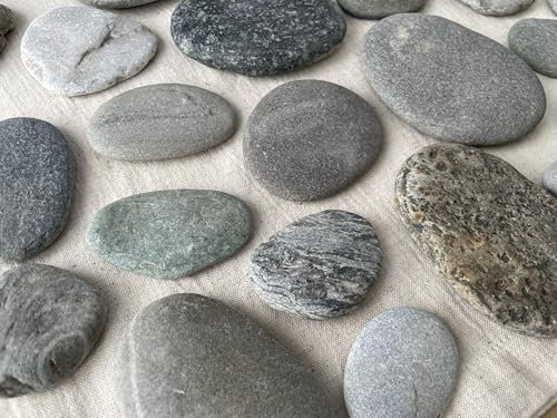 FAIRY TAIL & GLITZER FEE 20 Flache Steine zum Bemalen – Natürliche Flusssteine aus den Alpen (10-5 cm), Glatte Dekosteine für DIY-Bastelprojekte, Kunst, Acrylfarben und kreative Deko-Ideen