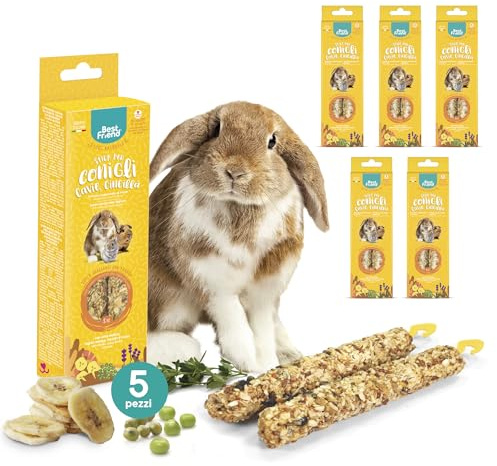 Best Friend - Snack Naturali Cotti al Forno per Conigli, Cavie e Cincillà. Gustosi stick e ricchi di vitamine con legno di betulla per denti sani | Banana ed Erba Medica, 5 Pack x 115 g