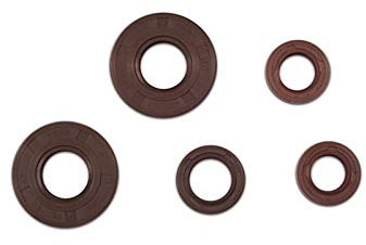 SET: Wellendichtringe braun S50, KR51/1, SR4-