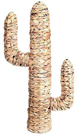 marque Fornord Cactus en Jacinthe d'eau H80