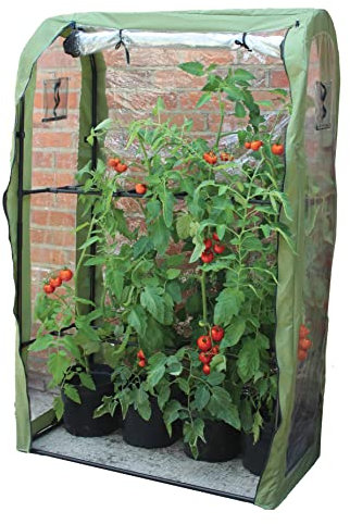 Haxnicks Tomato Crop-Booster Poly Cover | L 100cm x W 50cm x H 160cm | FRAME220101, Green/Clear