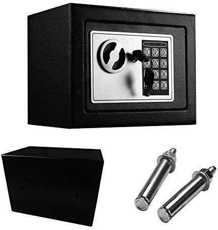Small Safe, Cash Safe Box with Digital Keypad and 2 keys, Steel Construction, 4.6L Black Electronic Security Safe for Home Office, Fireproof and Waterproof Cabinet Safes, 23 x 17 x 17cm