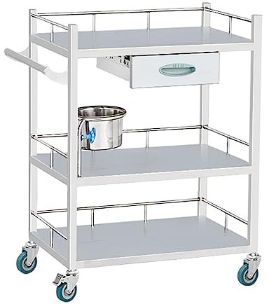 Medizinischer Rollwagen Edelstahl Rollwagen für Kliniken und Krankenhäuser - 2-lagiges Design mit maximaler Tragfähigkeit von 150 kg, ideal für ästhetische medizinische Laboratorien