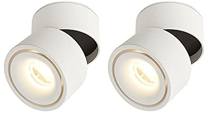 TXCLTS Spotlight a soffitto Spotlight Accento Movved Accento Regolabile Accento Spot Accendio, Spotlight direzionali interni da 5 W per la Galleria della Galleria della Galleria del corridoio di foyer