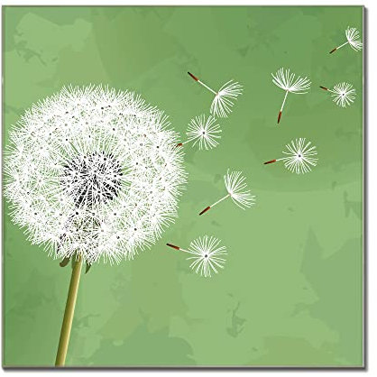 banjado® Glas Magnettafel mit 4 Magneten - Magnetwand 30x30cm mit Motiv Pusteblume 3 - Memoboard/Pinnwand magnetisch, beschreibbar, perfekt für die Küche - Magnetboard auch als Wandbild/Wandtafel