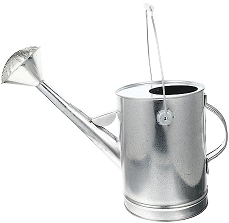BESPORTBLE Arrosoir Galvanisé en Fer 5l Long Bec pour Arrosage de Plantes D'extérieur, Design Robuste et Fond Plat pour Jardin et Bureau